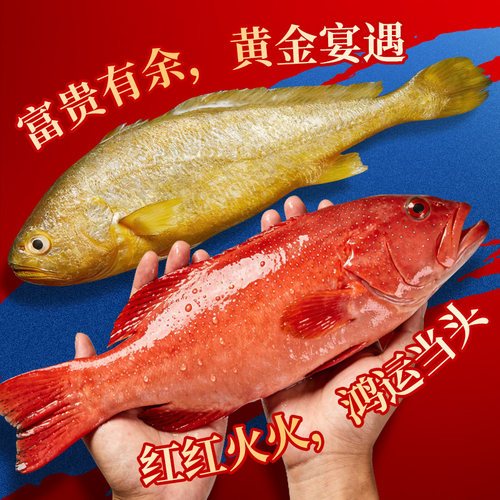 高端海鲜礼盒东星斑大黄鱼新鲜海产伴手礼宁波舟山特产大礼包送礼 - 图1
