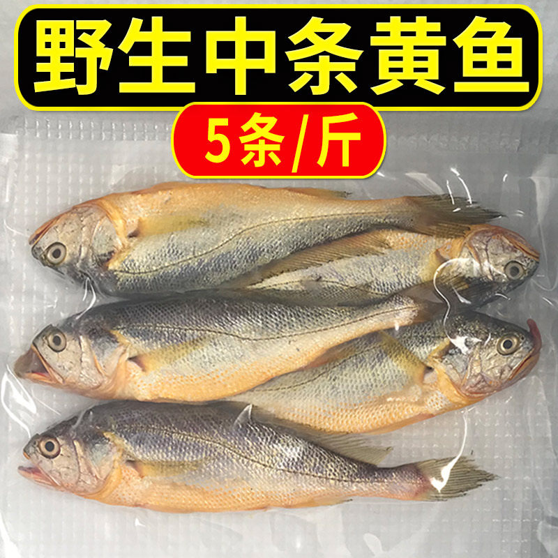 【新鲜冷冻】舟山野生中条黄鱼23两年货海鲜鲜活水产东海浙江宁波,淘宝优惠券,粉丝福利购,淘宝优惠卷