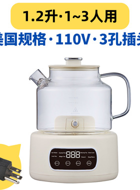 养生壶无胶水办公室煮茶烧水壶全玻璃壶身花茶壶跨境110v电压