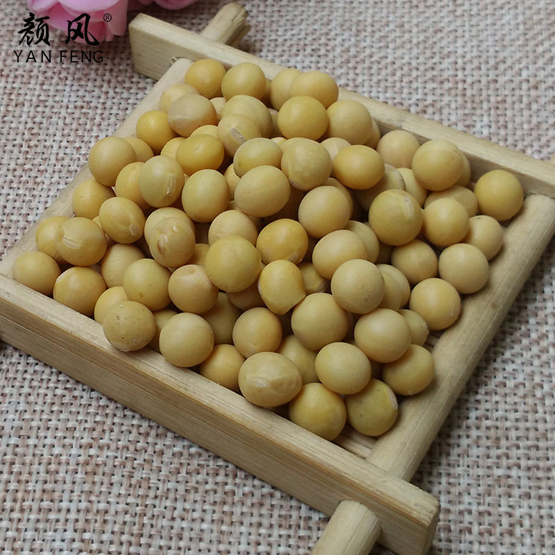 颜风黄豆农家新货东北粗粮大豆干货 颜风黄豆