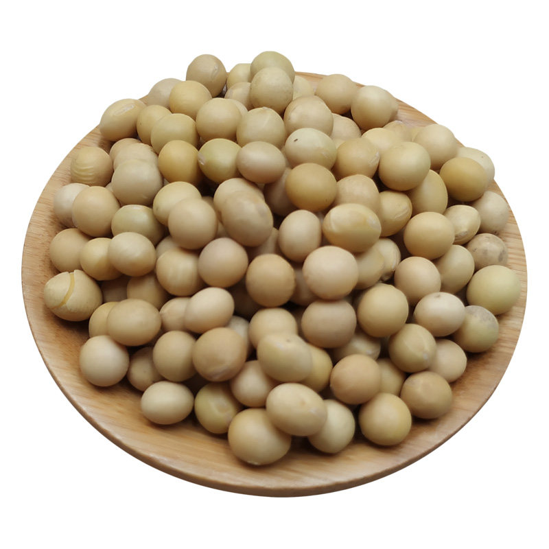 颜风黄豆农家新货东北粗粮大豆干货 颜风黄豆