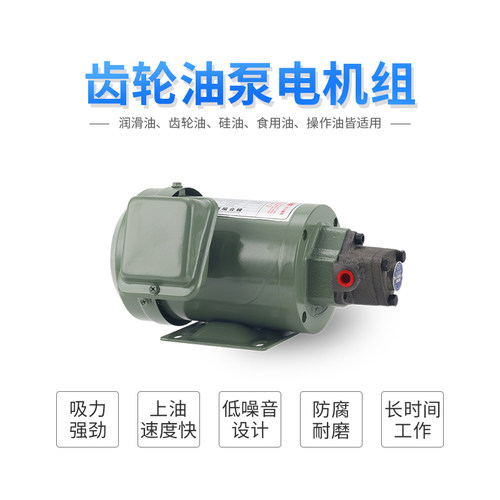 220V电动机油齿轮油泵TOP-12A机床润滑TOP-11/13A三角摆线泵电机 - 图0