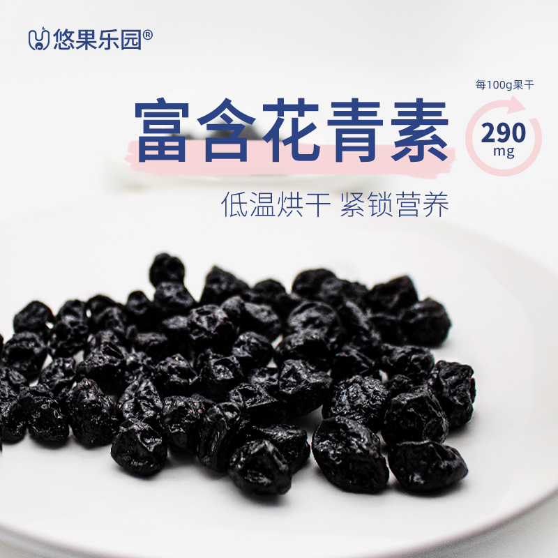 每日无添加无糖添加600g /装蓝莓干 悠果乐园蓝莓