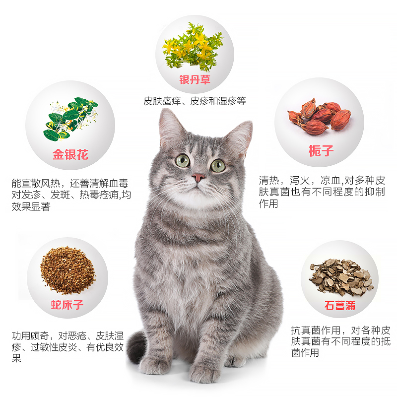 猫咪专用猫癣猫真菌药浴皮肤病药浴粉中药浴草本缓解掉毛皮屑湿疹-图1