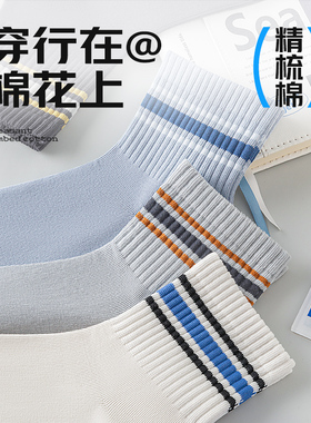 青少年袜子男款男袜夏季薄款棉袜防臭男童大童男孩初中生学生运动