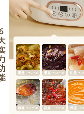 小熊电炖锅宝宝婴儿煮粥神器bb