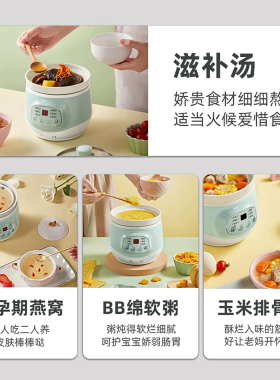 小熊电炖锅陶瓷全自动家用煲汤锅