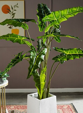 绿植萨利安海芋盆栽假树室内客厅仿真植物造景观装饰摆件真