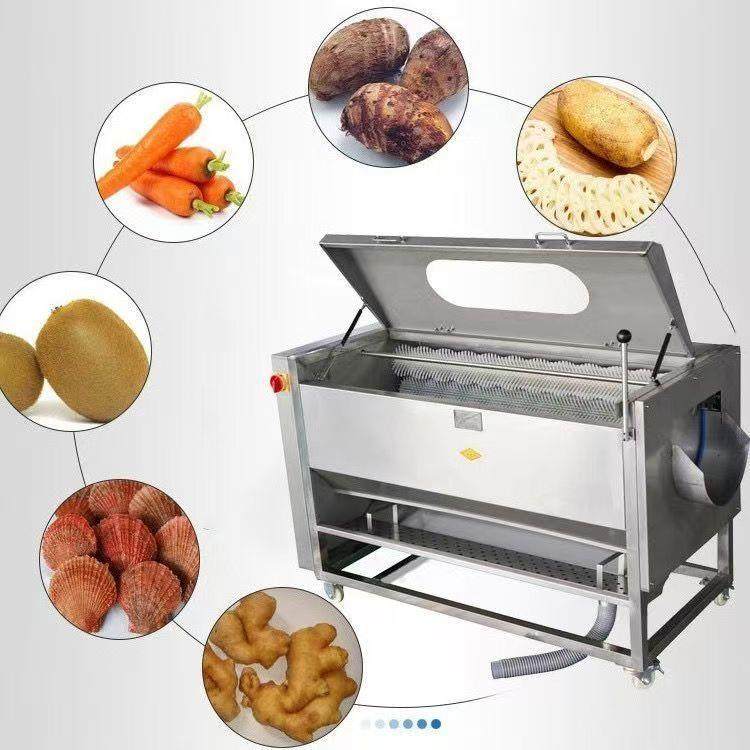全自动果蔬清洗去皮机生姜红薯土豆胡萝卜毛刷清洗去泥脱皮机,淘宝优惠券,粉丝福利购,淘宝优惠卷