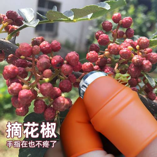 一整套指刀剥菜剥蒜采摘花椒指套指甲厨房择菜神器豆角手指艺园剪 - 图2
