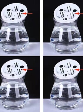 高颜值水培花瓶观音竹富贵竹竹子专用三孔夹子竹子专用透明塑料瓶