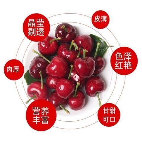  假日搭档活页胶圈