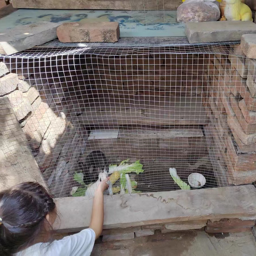镀锌铁丝网小孔防锈防鼠蛇网封窗户阳台多肉养殖鸡鸭鹅笼具防护网