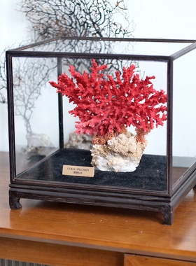 真珊瑚标本新中式客厅摆件