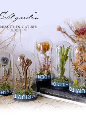 野地玻璃罩植物标本田园风摆件