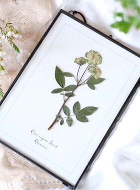 金属铜色玻璃相框植物标本挂画装饰画简约复古创意礼物押花标本夹
