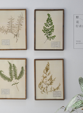 装饰画实木植物标本复古画框