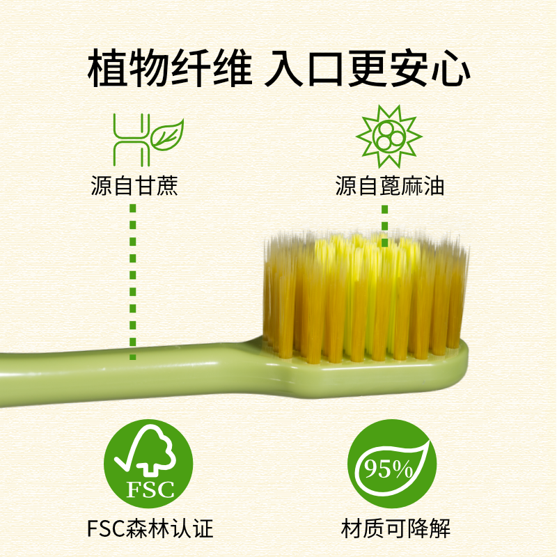 EBISU/惠百施环保宽头中毛牙刷成人清洁护齿牙刷进口4支装,淘宝优惠券,粉丝福利购,淘宝优惠卷