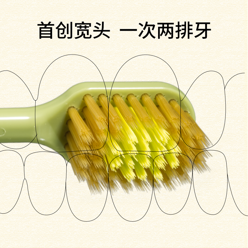 EBISU/惠百施环保宽头中毛牙刷成人清洁护齿牙刷进口4支装,淘宝优惠券,粉丝福利购,淘宝优惠卷