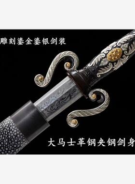 新疆包邮龙泉收藏宝剑刺