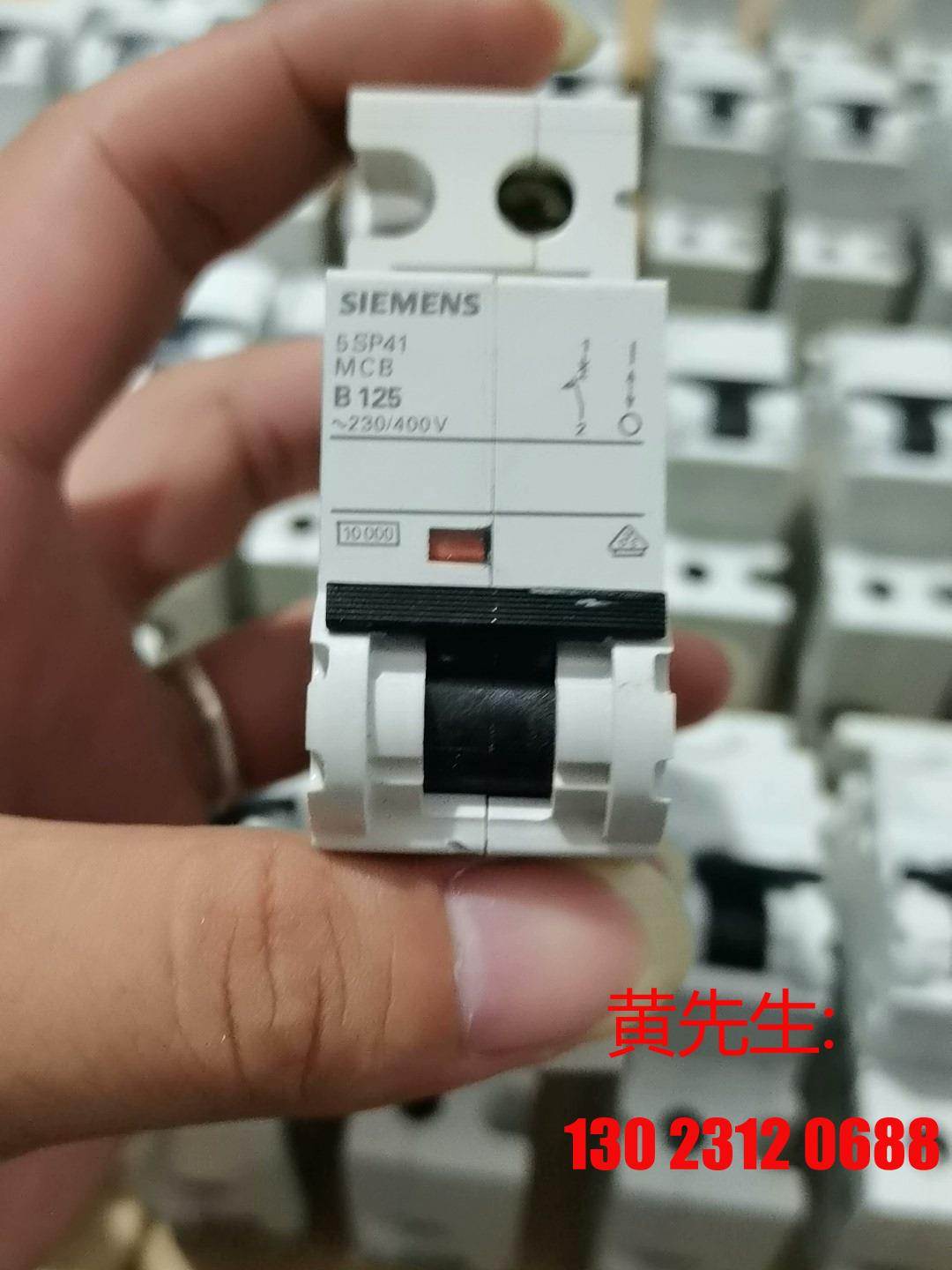 SIEMENS/西门子5SP4192-6循环断路器议价 - 图1