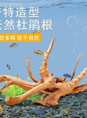 鱼缸造景沉木树根摆件莫斯树森林微景观水草缸天然杜鹃木装饰布景
