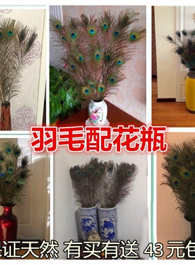 diy真孔雀羽毛家居摆 设客厅花瓶装饰进翎 口孔雀尾