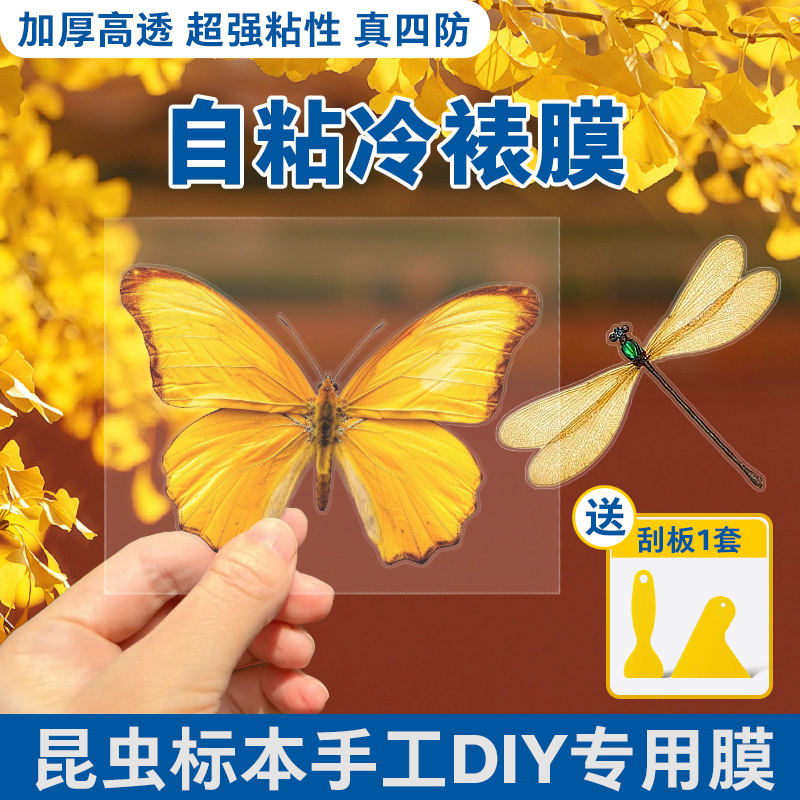 冷裱膜照片塑封膜自粘高光哑光树叶昆虫蝴蝶标签标本海报保护膜植物标本相片冷膜6寸 5寸 A4 A6 A5镭射冷裱膜 - 图1