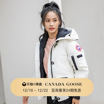 CANADA GOOSE canada goose Chilliwack lady pilot jacket down jacket 7999L