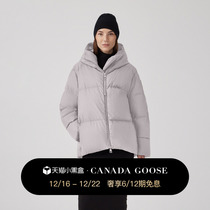 CANADA GOOSE canada goose Garnet lady down with a large goose jacket 4821W
