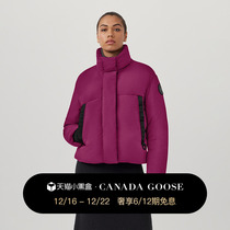 CANADA Goose Canada Goose Junction ladies short black mark down coat of goose jacket 2620WB