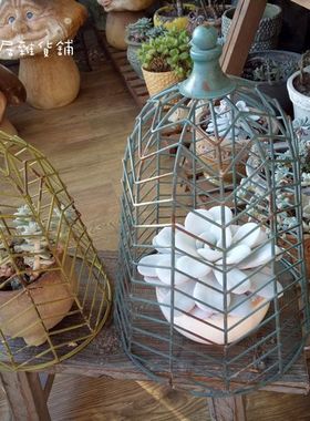 铁艺手工做旧复古植物攀爬罩摆件