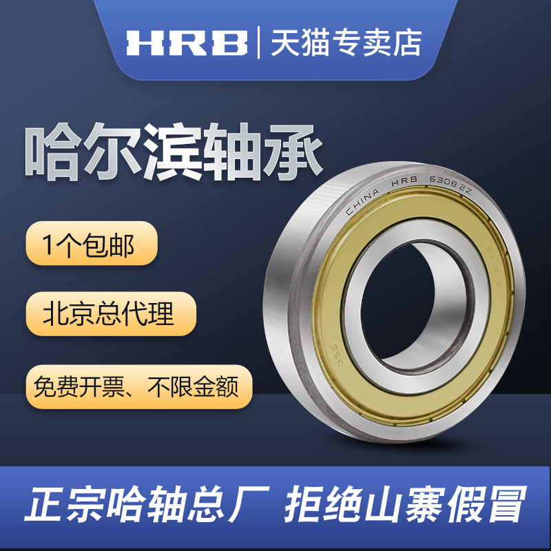 HRB哈尔滨轴承 6300 6301 6302 6303 6304 6305 6306 RZ RS ZZ 2Z - 图0