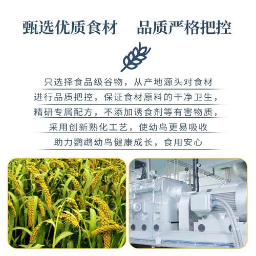 君羽蛋小米鸡蛋米鹦鹉繁殖饲料鸟食无壳黄炒促进踩背玄凤牡丹营养 - 图2