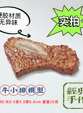 仿真三文鱼模型三文鱼片块火锅食物海鲜料理摆盘拍摄展示道具玩具