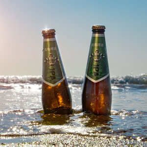 青岛啤酒IPA精酿啤酒 印度淡色艾尔啤酒330ml*12瓶青岛特产包邮