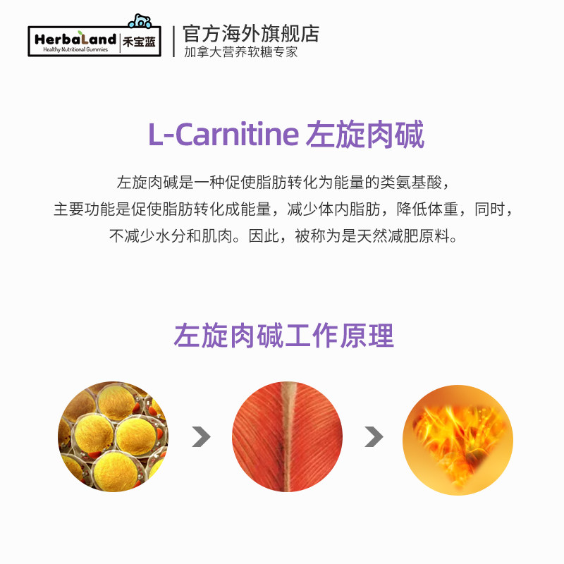  herbaland海外海外保健体重管理