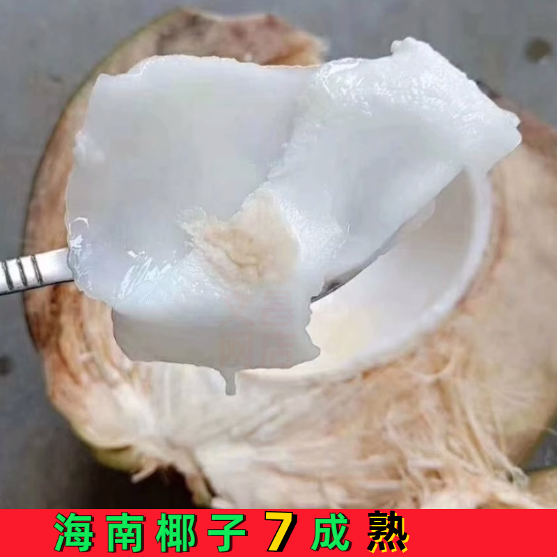 新鲜椰青海南正宗椰子牛奶椰皇煲老黑鸡汤孕妇水果汁水多整箱9个