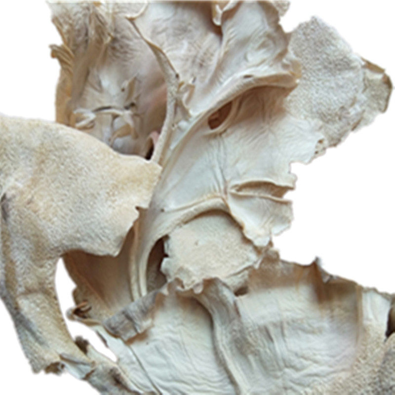 新鲜干货菜类农家迁西板栗蘑菇灰树花农家东北舞茸500g特级小香磨-甜又