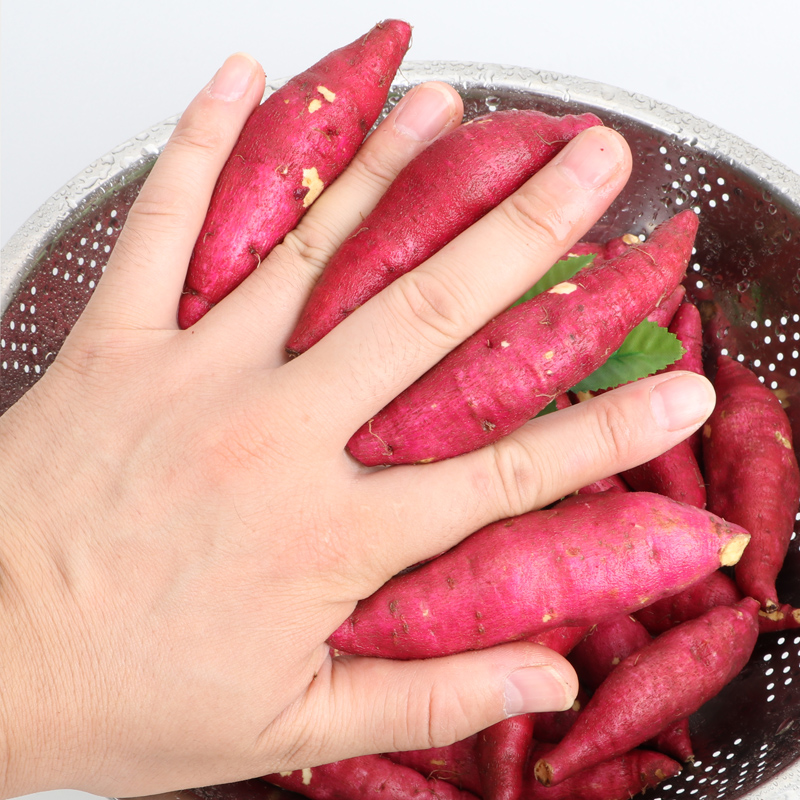 青草坞旗舰店临安小香薯1斤左右黄心红薯新鲜金手指小番薯板栗山芋地瓜非紫薯0