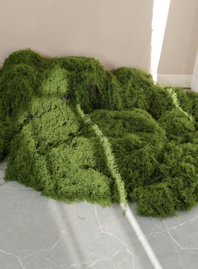仿真苔藓丝青苔仿生草皮造景丝线仿真植被假草皮草坪花盆铺面橱窗