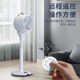 SEEDEN Western Point Air Circulation Fan Household Remote Control Shake Head High Wind Power Light Sound Flooring DC Frequency Electric Fan