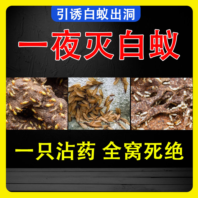 白蚁防治专用药水室内诱杀白蚁家用全窝端非无毒白蚂蚁杀虫粉剂xf - 图0