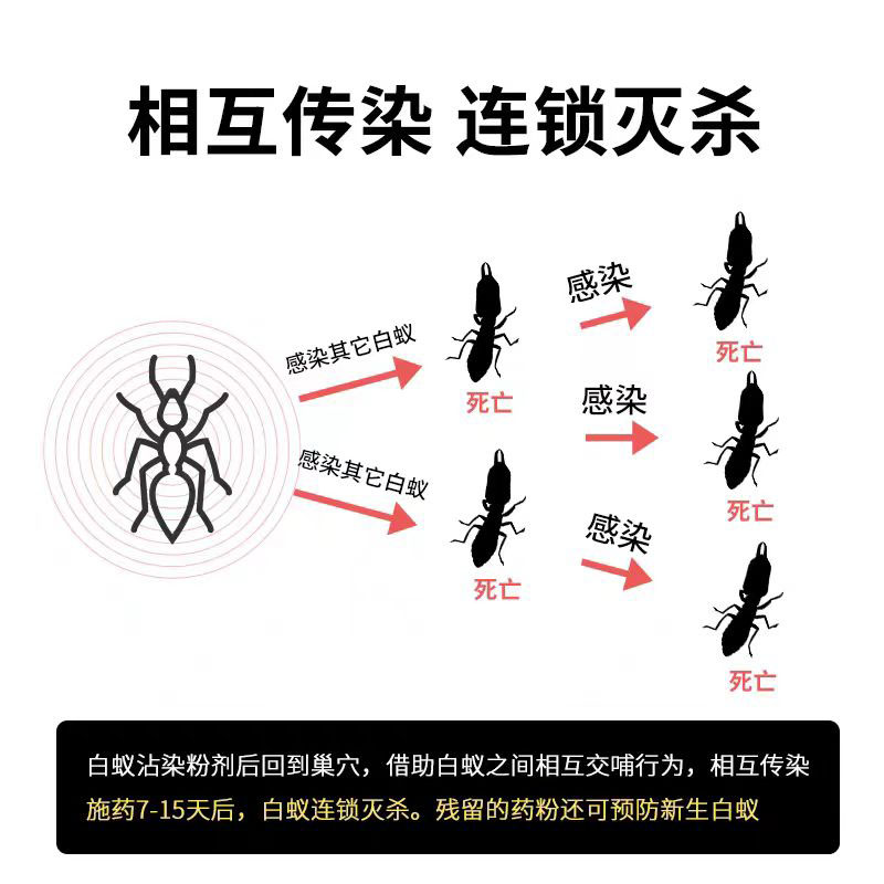 白蚁防治专用药水室内诱杀白蚁家用全窝端非无毒白蚂蚁杀虫粉剂xf - 图1