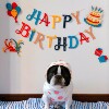 Colorful Happy Birthday Lettering Flag Party Latte