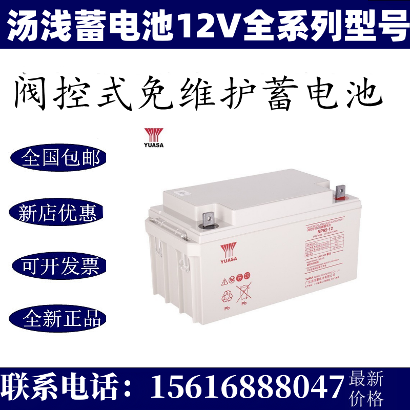 YUASA汤浅蓄电池12V65AH38AH40A24AH18AH7AH12A100A直流屏NP65-12 - 图2