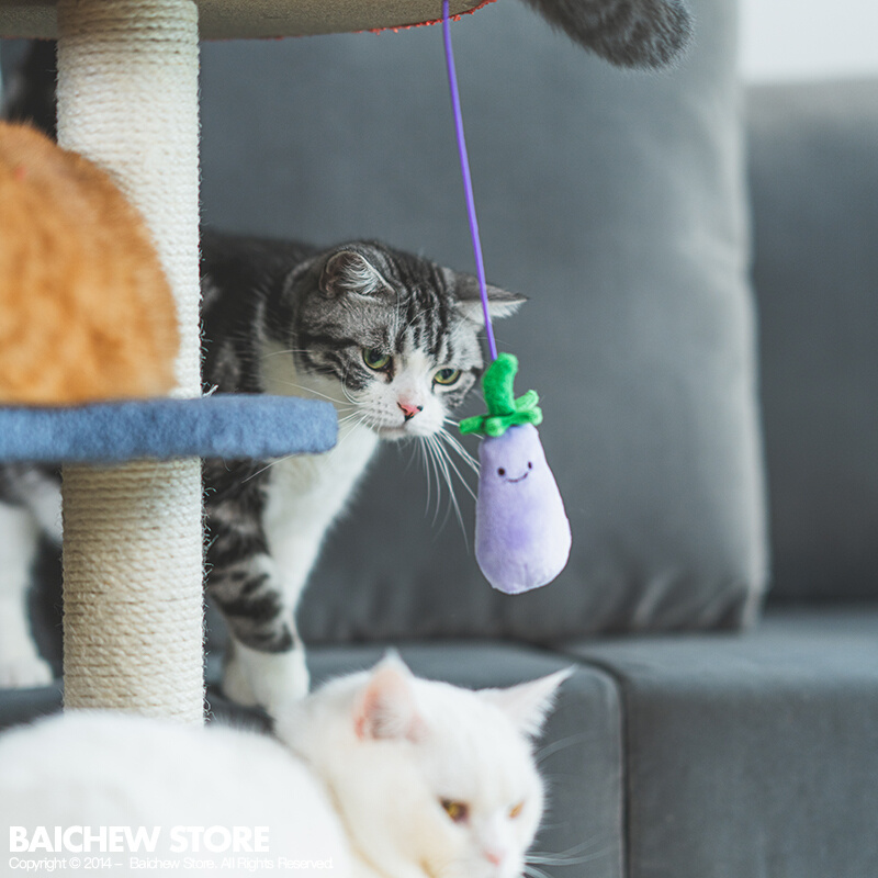 正品白猪商店 PurLab噗扑实验室猫爬架菜园子猫树猫窝一体猫咪猫 - 图1