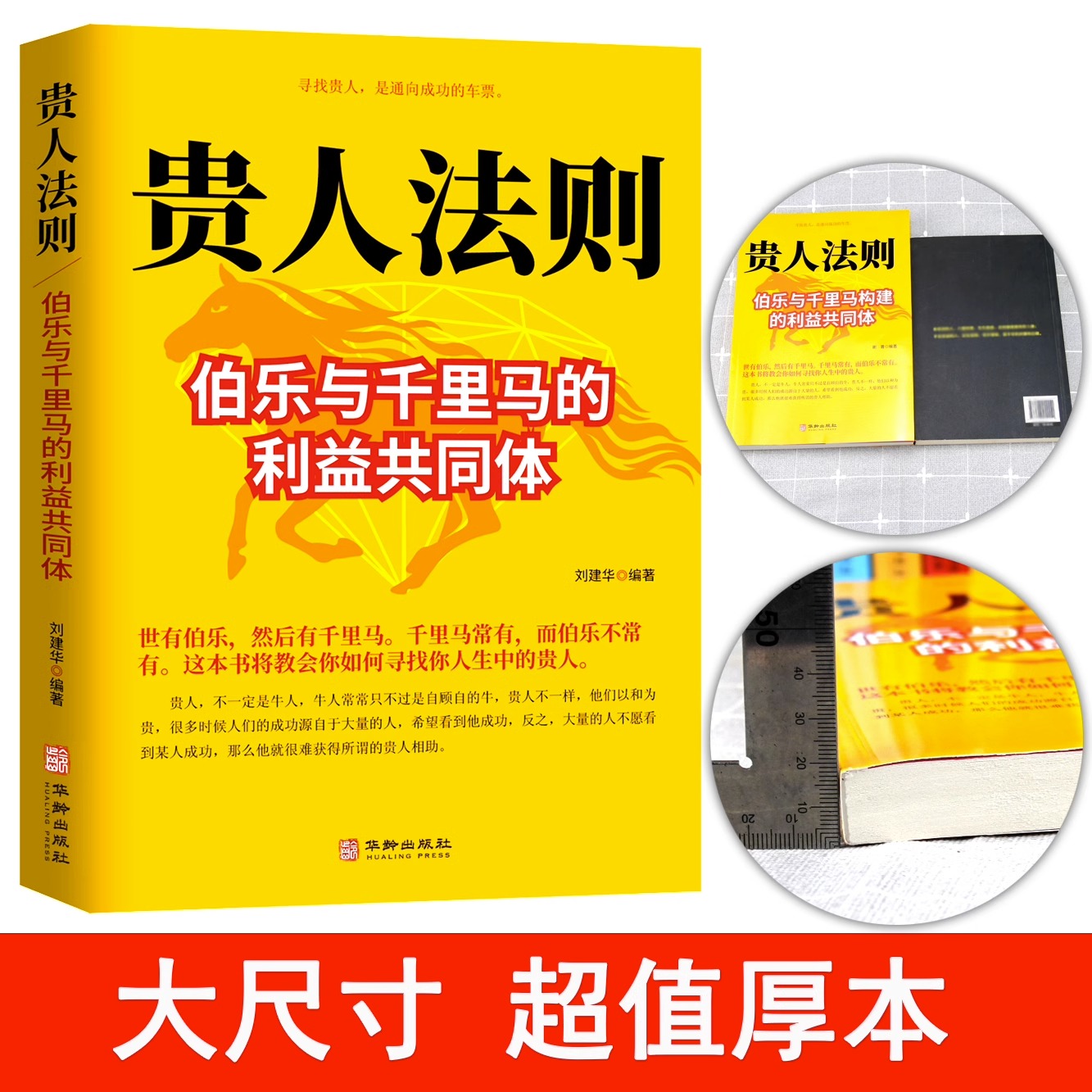 正版速发金蝉定律贵人法则 伯乐与千里马构建的利益共同体如何寻找人生中的贵人 寻找贵人是通往成功的车票人生哲理为人处世 - 图2