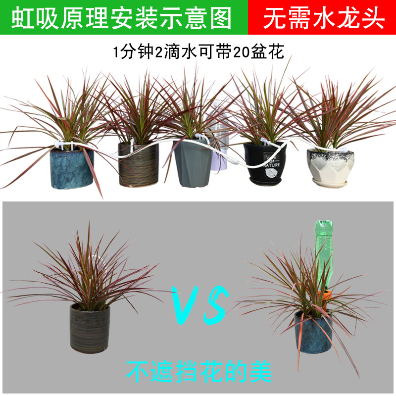 自动浇水神器输液滴水器浇花点滴管懒人家用阳台多肉花盆定时滴灌 - 图3