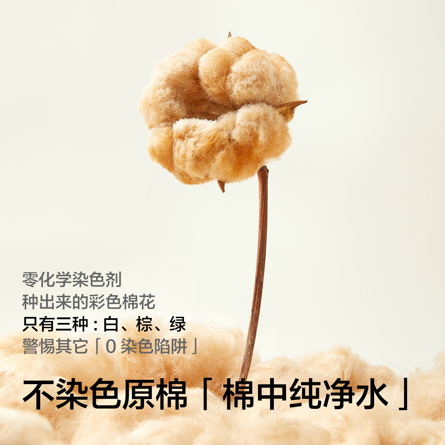 【不染色原棉】有棵树一次性内裤女士纯棉无菌10A裆医护级日抛裤,淘宝优惠券,粉丝福利购,淘宝优惠卷